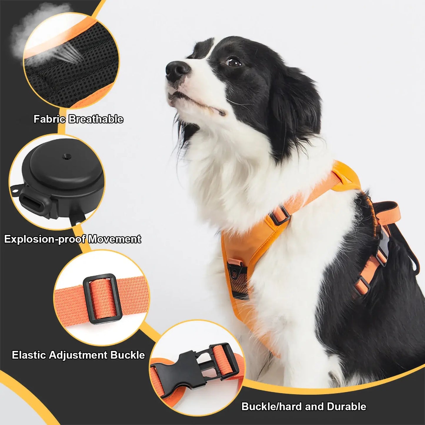 Flexible Retractable Leash for Medium-Large Dogs